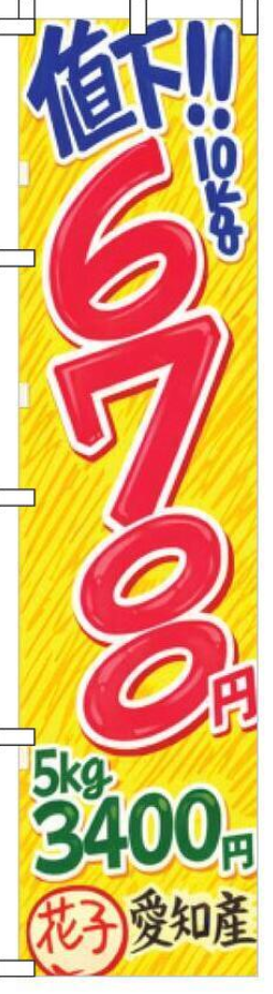 花子 愛知産 5kg 3400円 のぼり